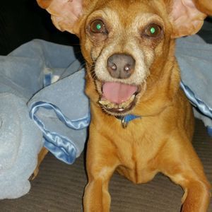 Meet your Posher, Cathay